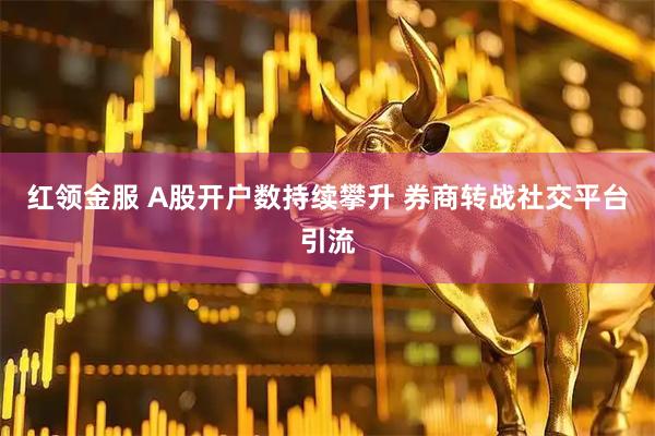 红领金服 A股开户数持续攀升 券商转战社交平台引流